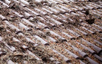 Ramnageo roof cleaning companies