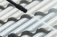 rated Ramnageo roof cleaning companies